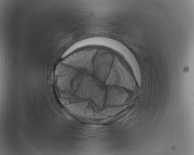 X0000116630528201001081255