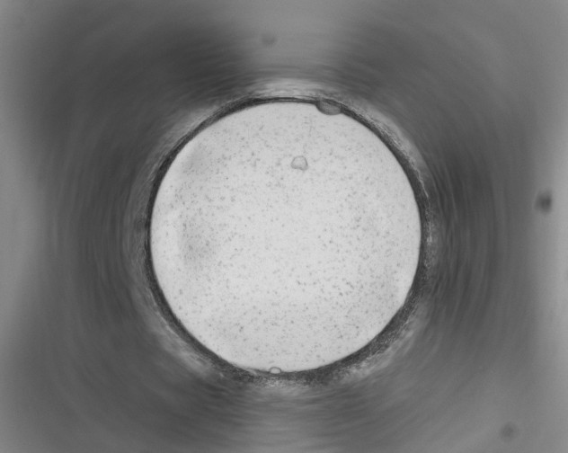 X0000116630529201001081254