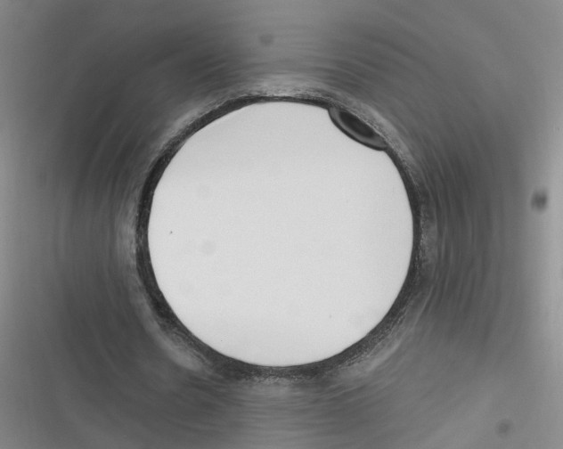 X0000116630530201001081254