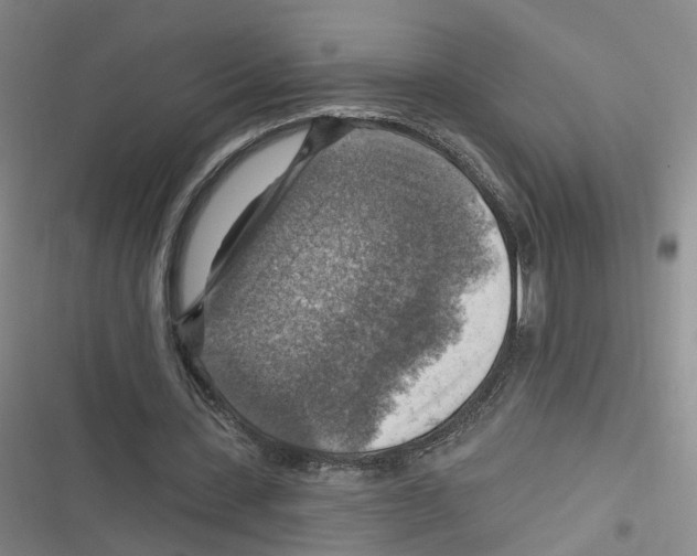 X0000116630531201001081254