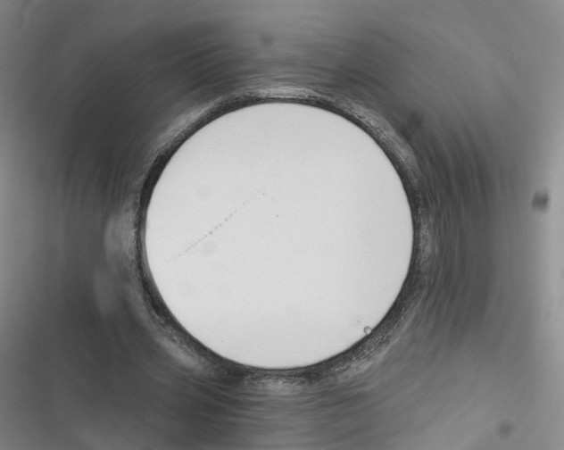 X0000116630533201001081254