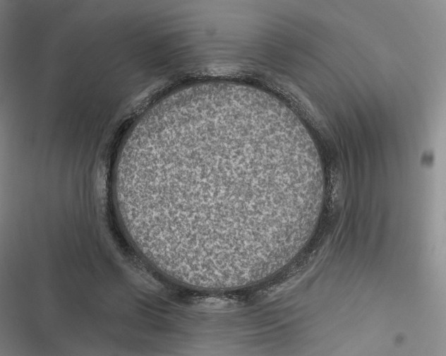 X0000116630542201001081254