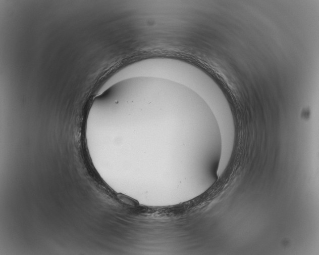 X0000116630545201001081255