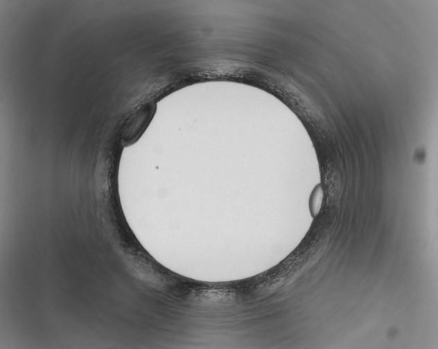 X0000116630546201001081255