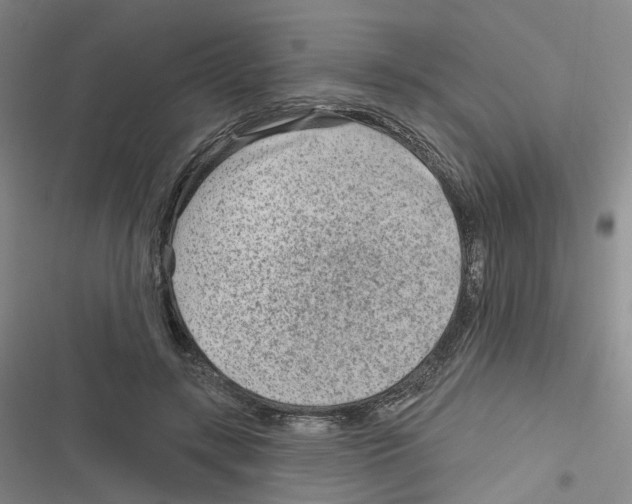 X0000116630547201001081255