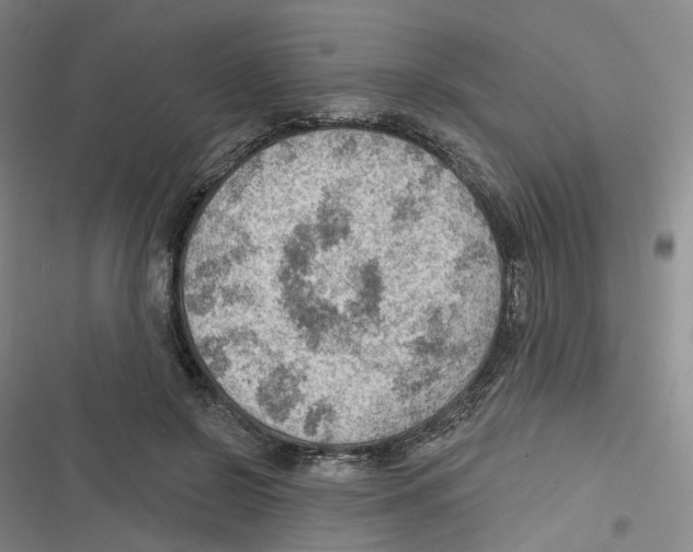 X0000116630550201001081255