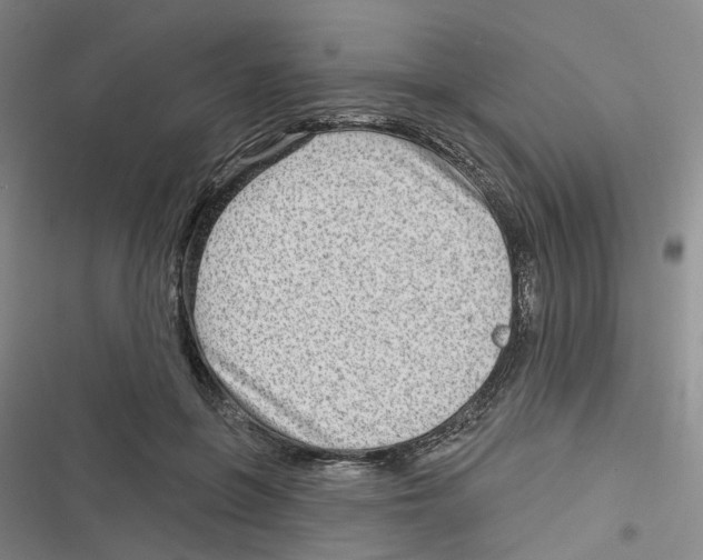 X0000116630551201001081255