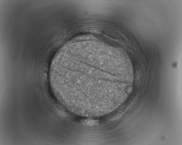 X0000116630553201001081255