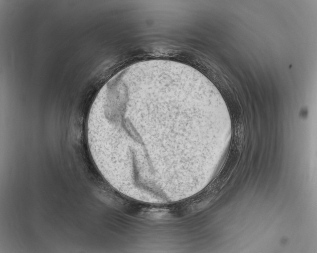 X0000116630554201001081255
