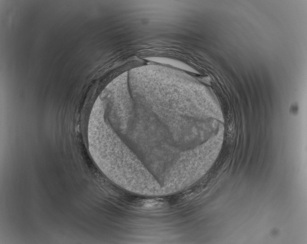 X0000116630555201001081255