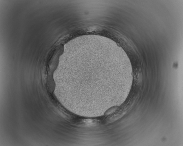 X0000116630558201001081255