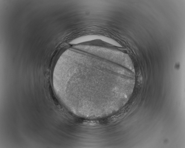 X0000116630559201001081255