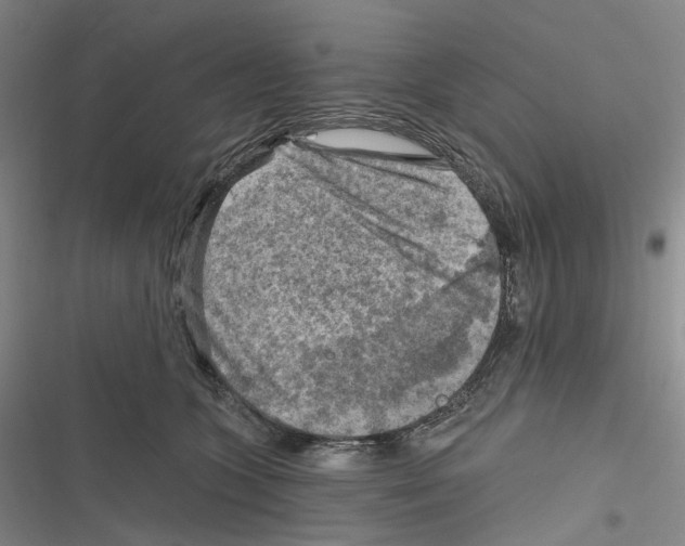 X0000116630563201001081255