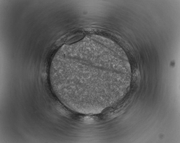 X0000116630566201001081255