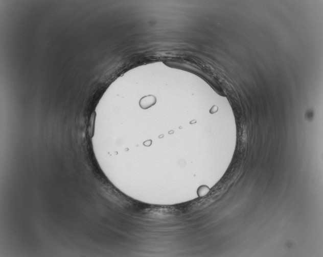 X0000116630567201001081255