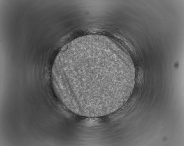 X0000116630569201001081255