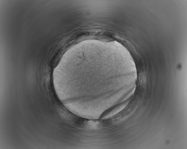 X0000116630570201001081255