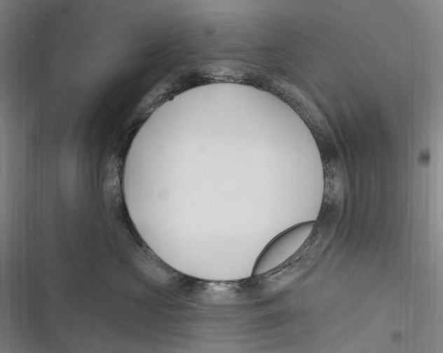 X0000116630573201001081255