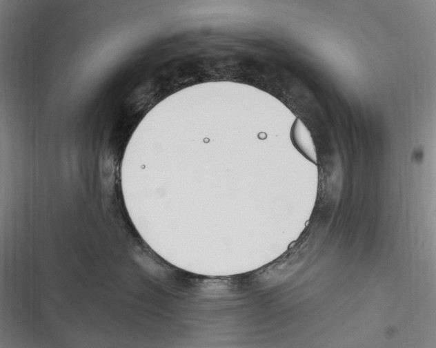 X0000116630574201001081255