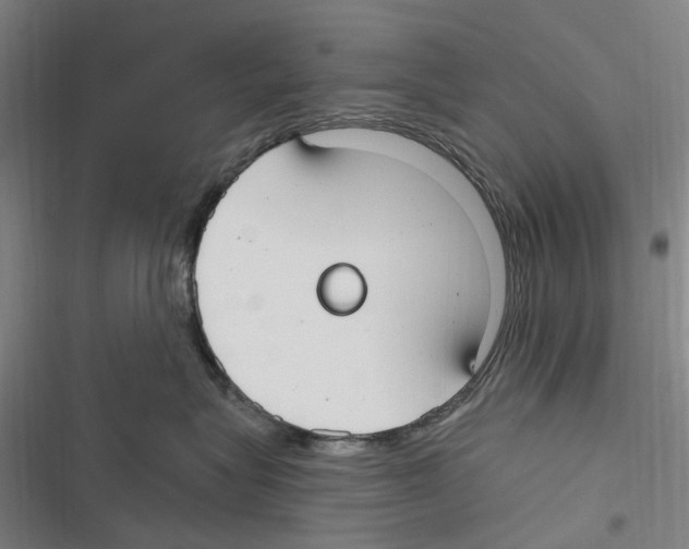 X0000116630575201001081255