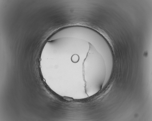 X0000116630577201001081254