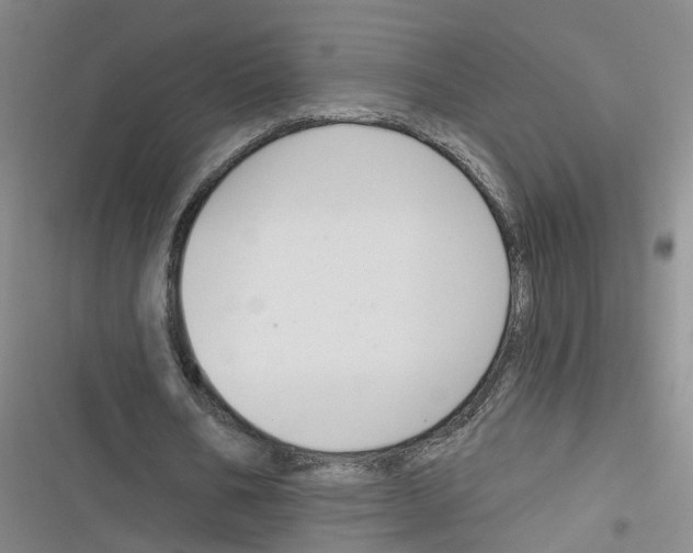X0000116630578201001081254