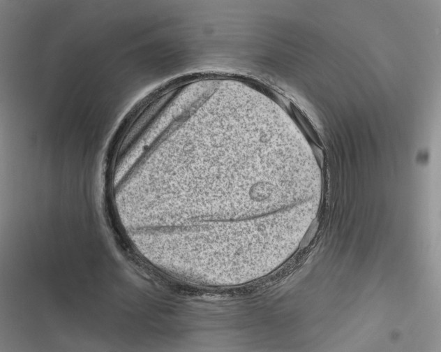 X0000116630580201001081254
