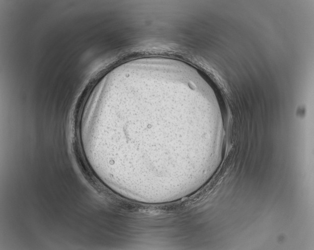 X0000116630582201001081254