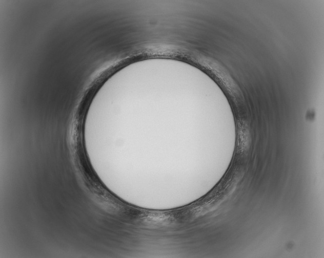 X0000116630583201001081254