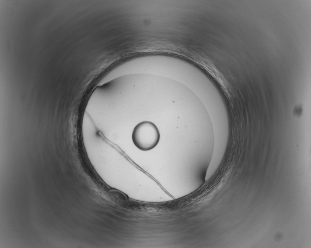 X0000116630585201001081254