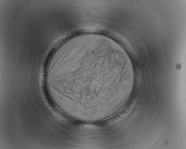 X0000116630590201001081254