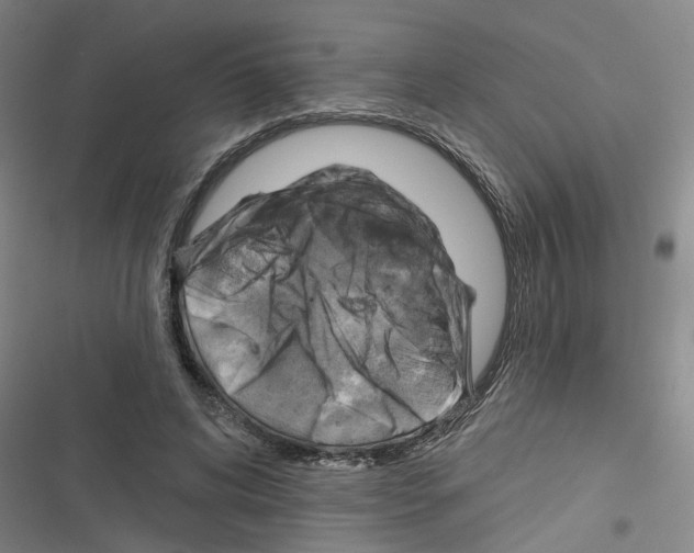 X0000116630592201001081254
