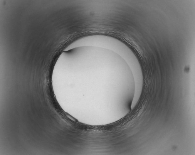 X0000116630593201001081254