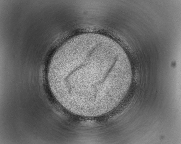 X0000116630594201001081254