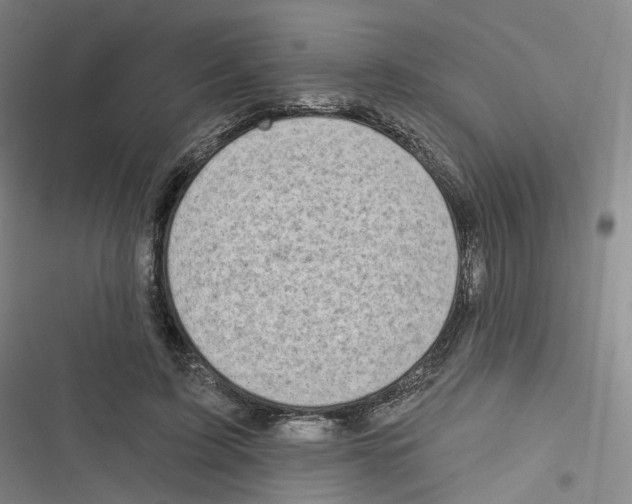 X0000116630595201001081254