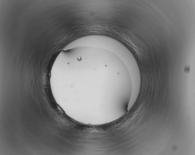 X0000116630597201001081254