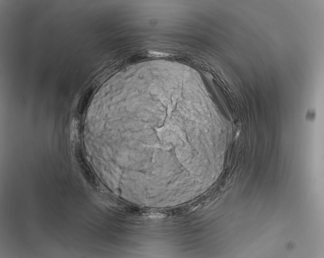 X0000116630598201001081254