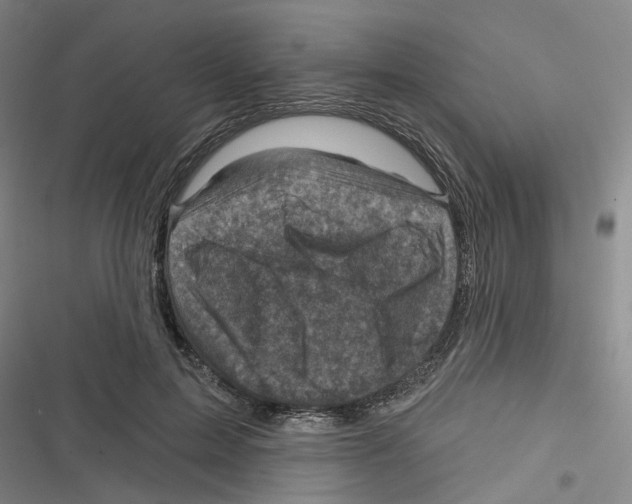 X0000116630599201001081254