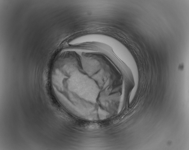 X0000116630600201001081254