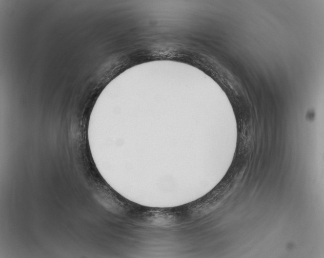 X0000116630601201001081254