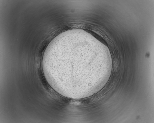 X0000116630602201001081254