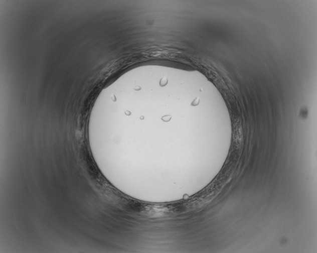 X0000116630607201001081254