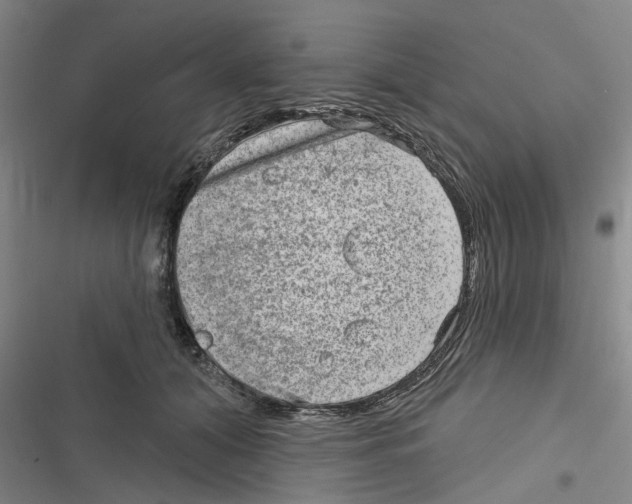 X0000116630608201001081254