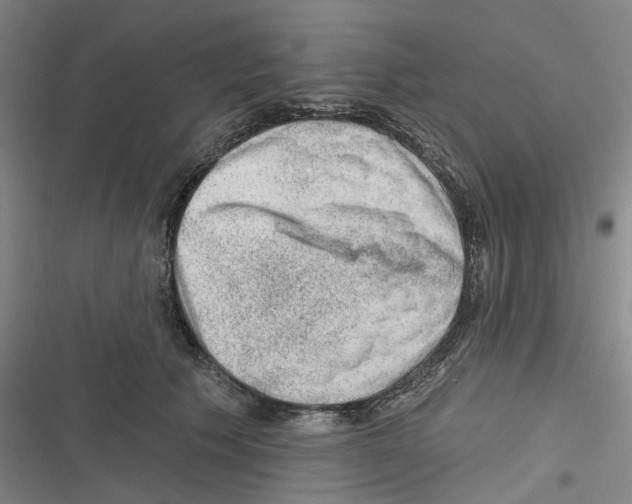 X0000116630609201001081254