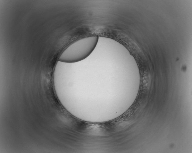 X0000116630611201001081254
