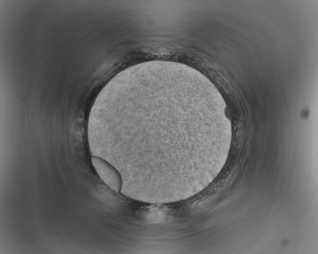 X0000116630612201001081254