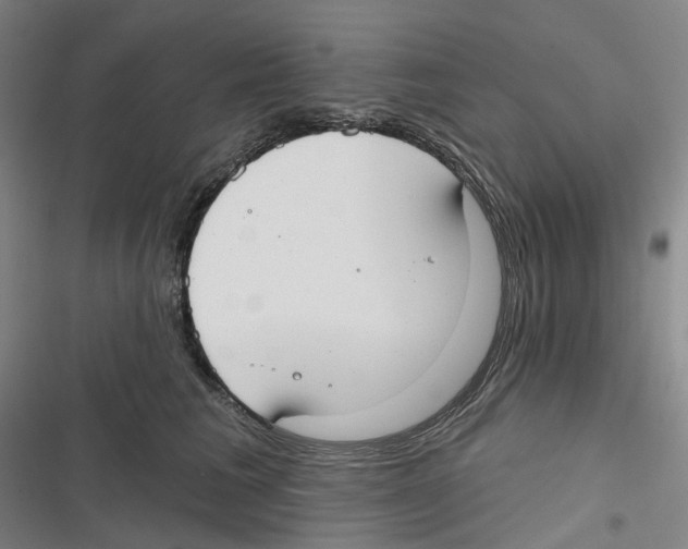 X0000116630613201001081254
