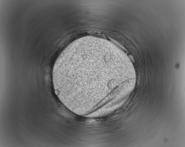 X0000116630616201001081254