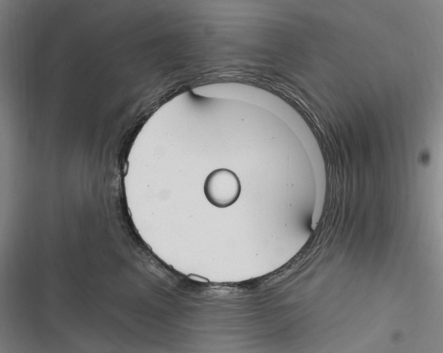 X0000116630617201001081254