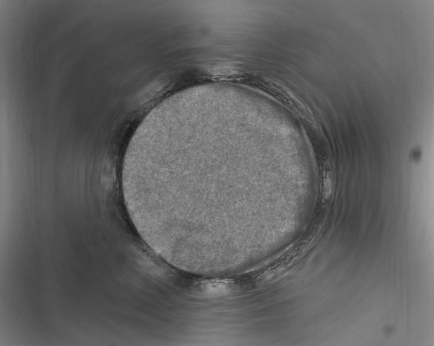 X0000116630618201001081254